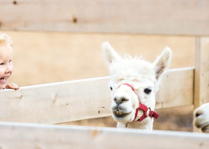 神奈川で動物とのふれあいができるおすすめスポット選 横浜市 相模原市 神奈川イベントプラス 親子で楽しいお得な週末お出かけ情報