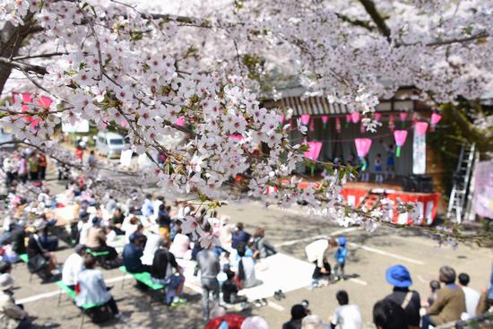 年春版 厚木のお花見スポット5選 飯山 緑ヶ丘 相模川周辺 神奈川イベントプラス 親子で楽しいお得な週末お出かけ情報