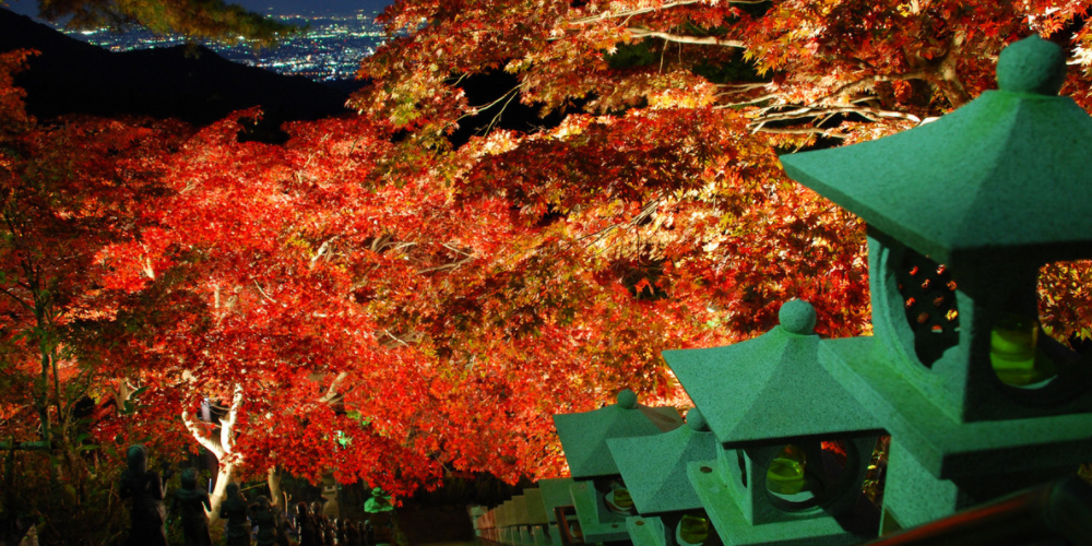 神奈川で紅葉のライトアップが楽しめるスポット8選 横浜 鎌倉 箱根 湯河原 秦野 伊勢原 神奈川イベントプラス 親子で楽しいお得な週末お出かけ情報