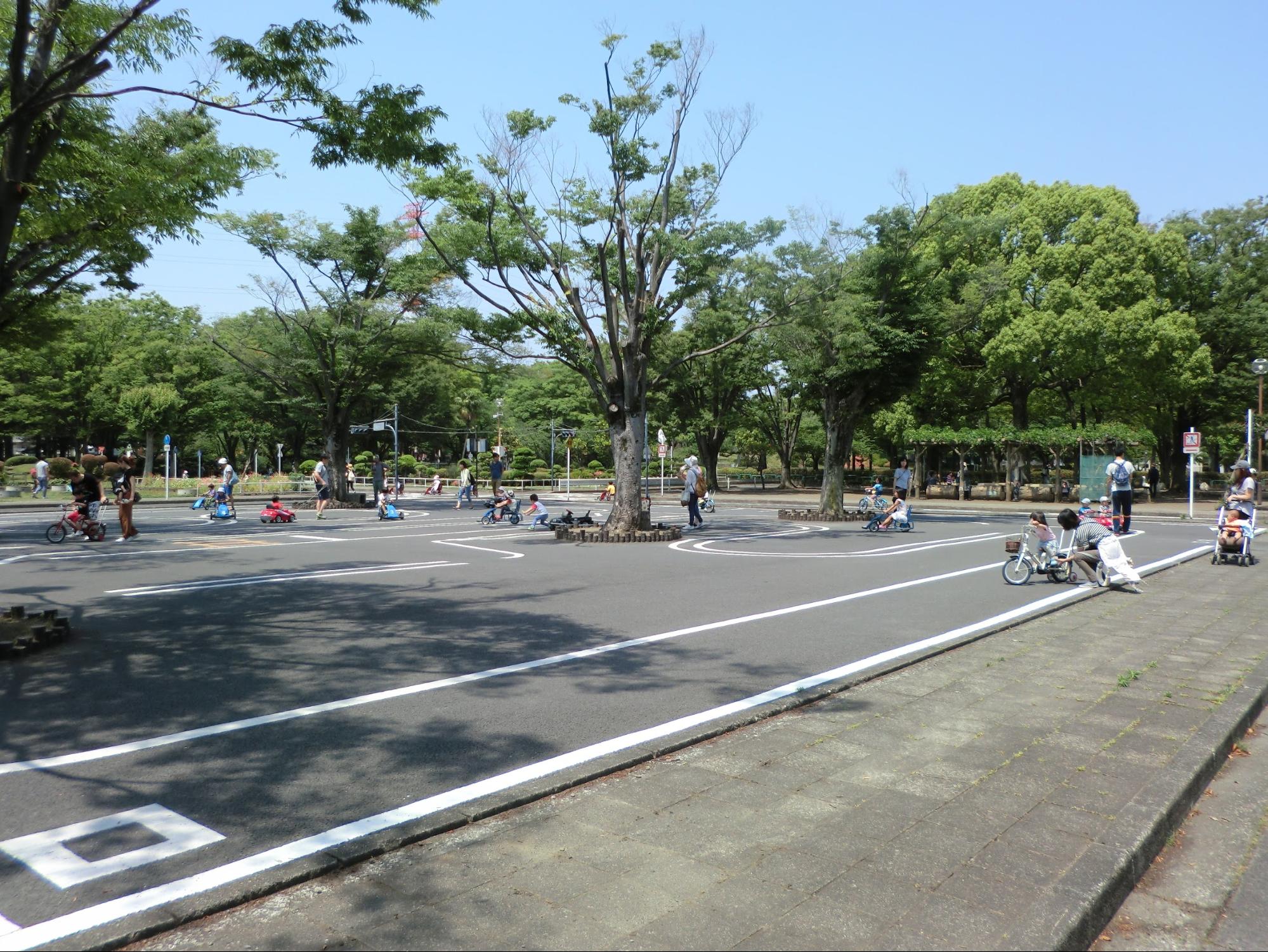 神奈川 自転車 練習 公園