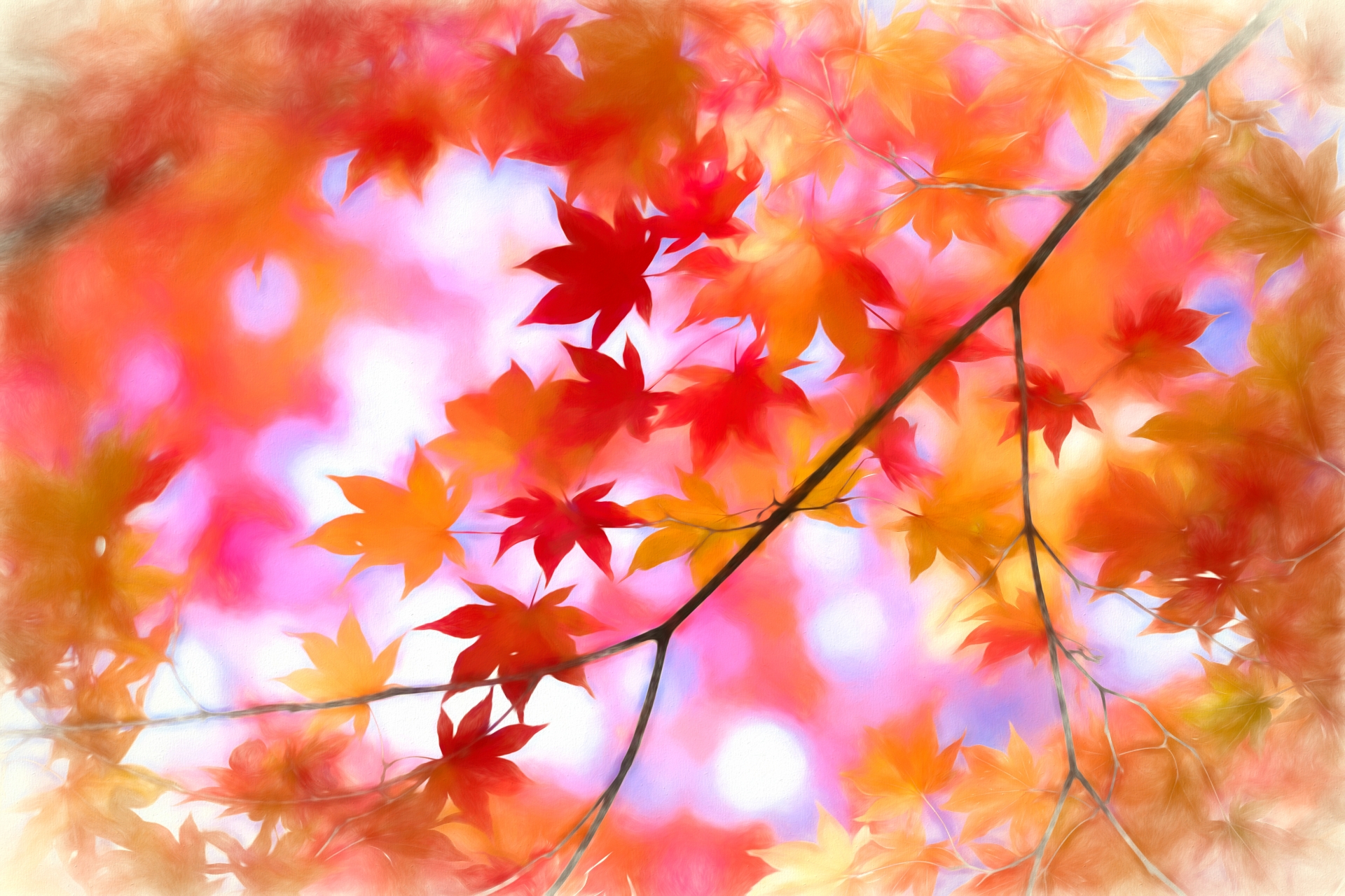 平塚市 子連れで秋のおでかけ 紅葉の見頃や名所 穴場9選をご紹介 神奈川イベントプラス 親子で楽しいお得な週末お出かけ情報